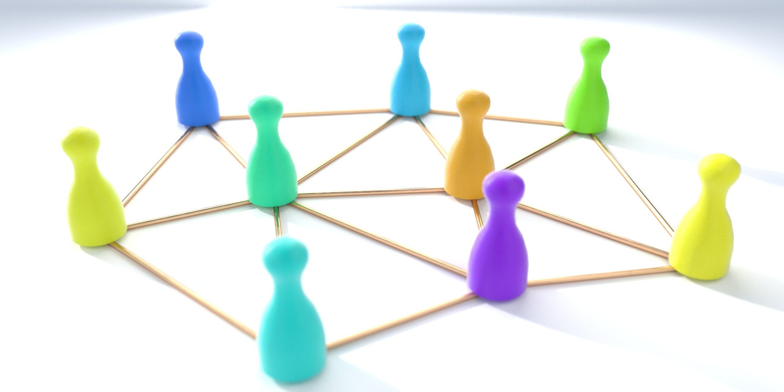 Verankering in beleid