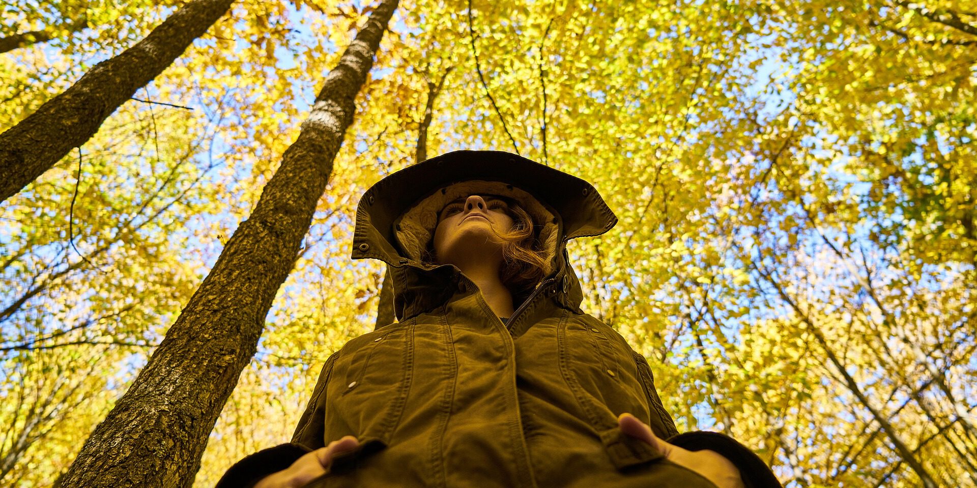 depression-gae901f54a_1920