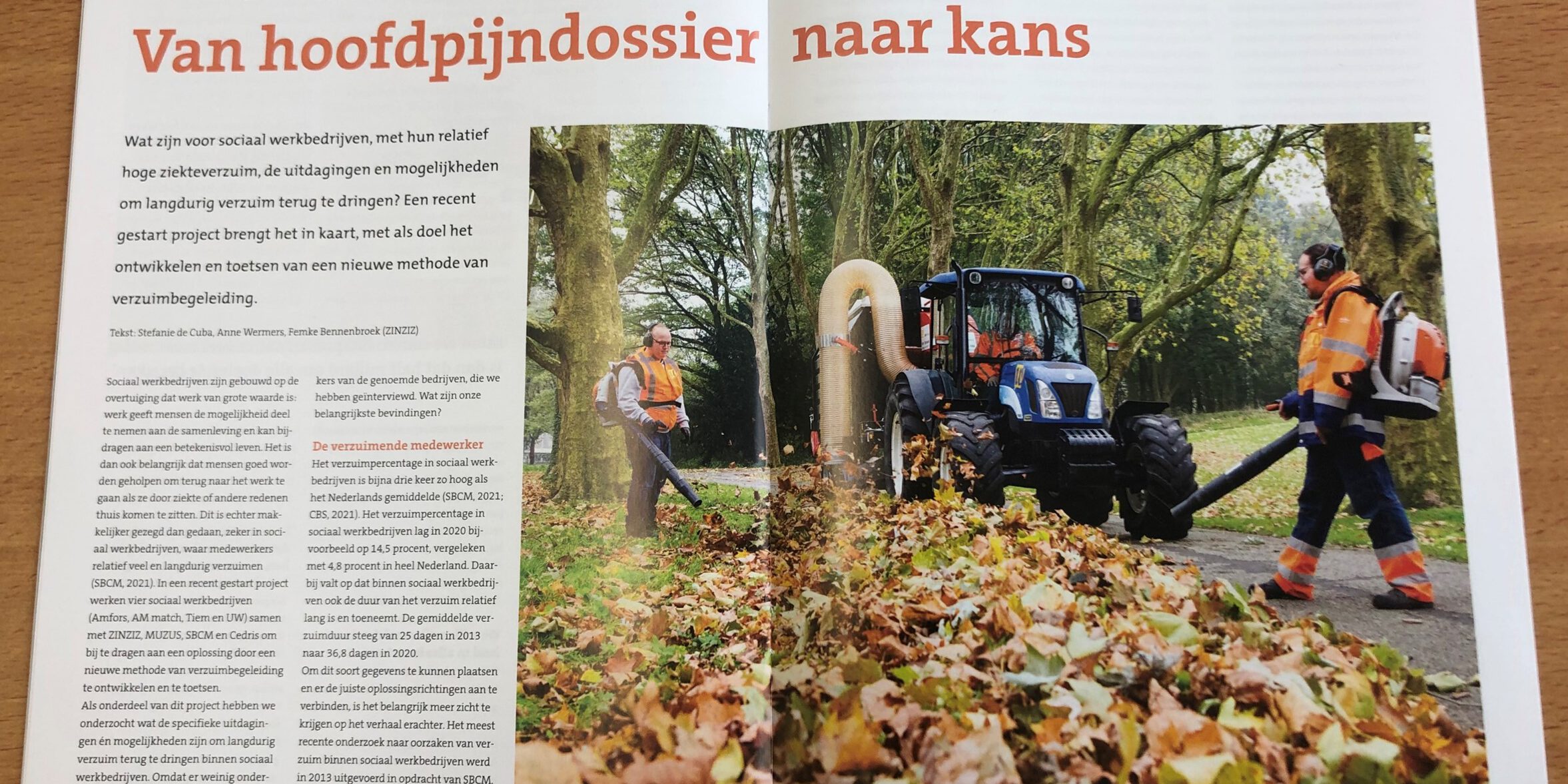 Van hoofdpijndossier naar kans (SW journaal)