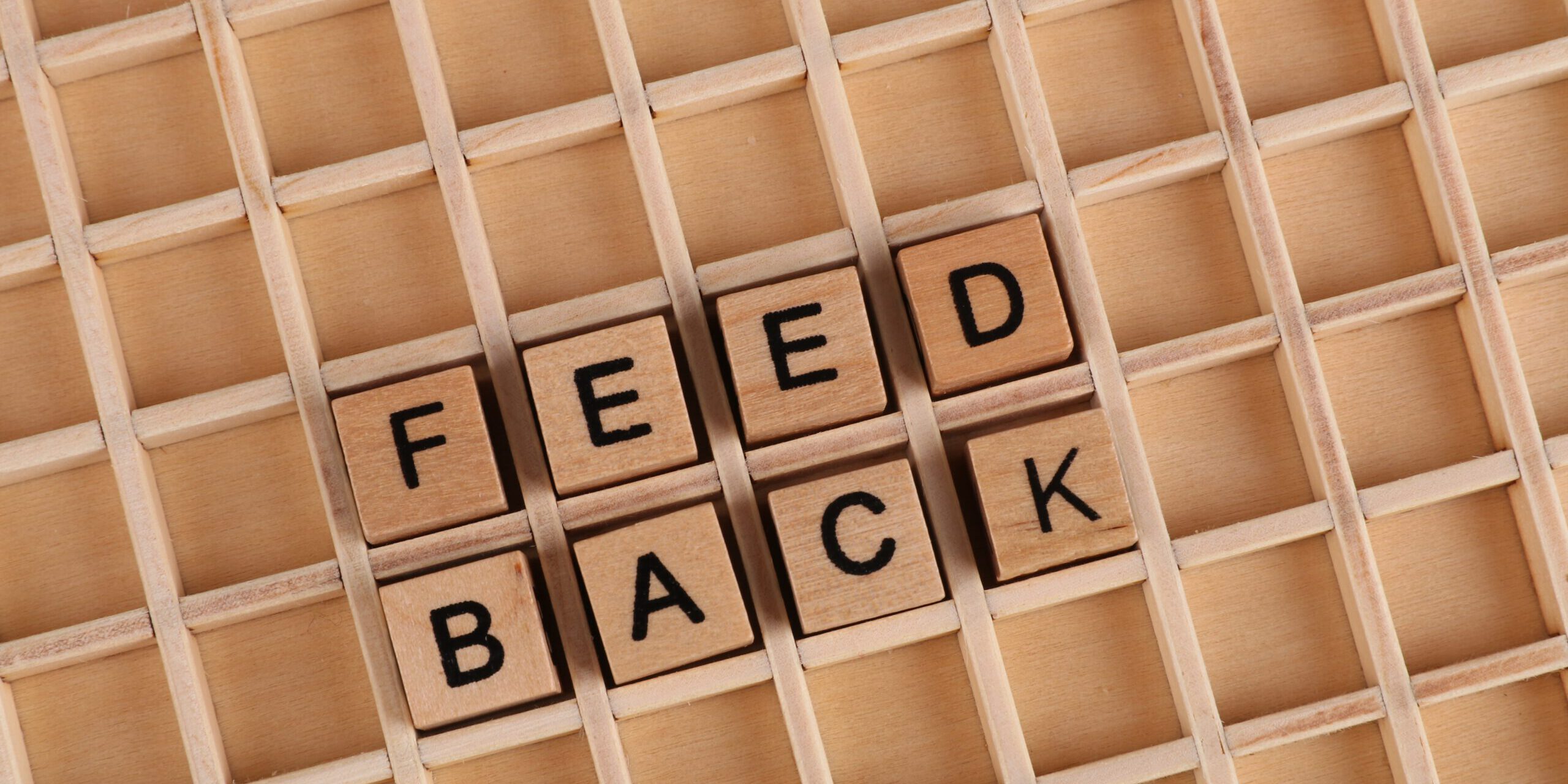feedback