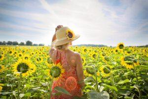 Update: de zomer is van start, maar wij stoppen niet