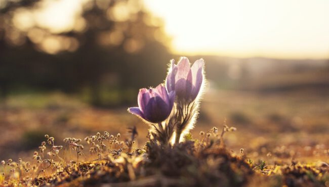 0512_Op weg naar 2024