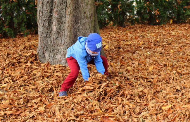 19-03 MOOI dat er aandacht is voor beweeggedrag